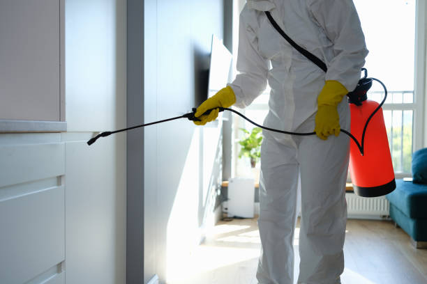 Best Mold Cleaning Services  in Ritzville, WA