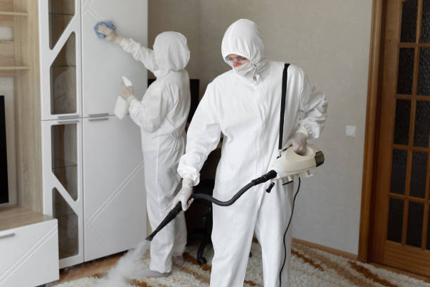 Professional Mold Removal in Ritzville, WA