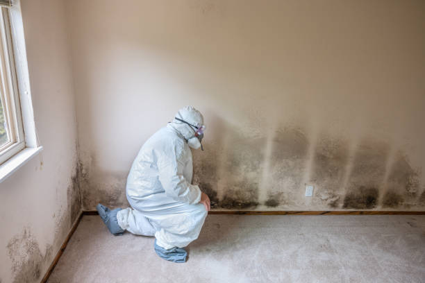 Best Water Damage Restoration  in Ritzville, WA