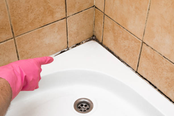 Best Toxic Mold Removal  in Ritzville, WA